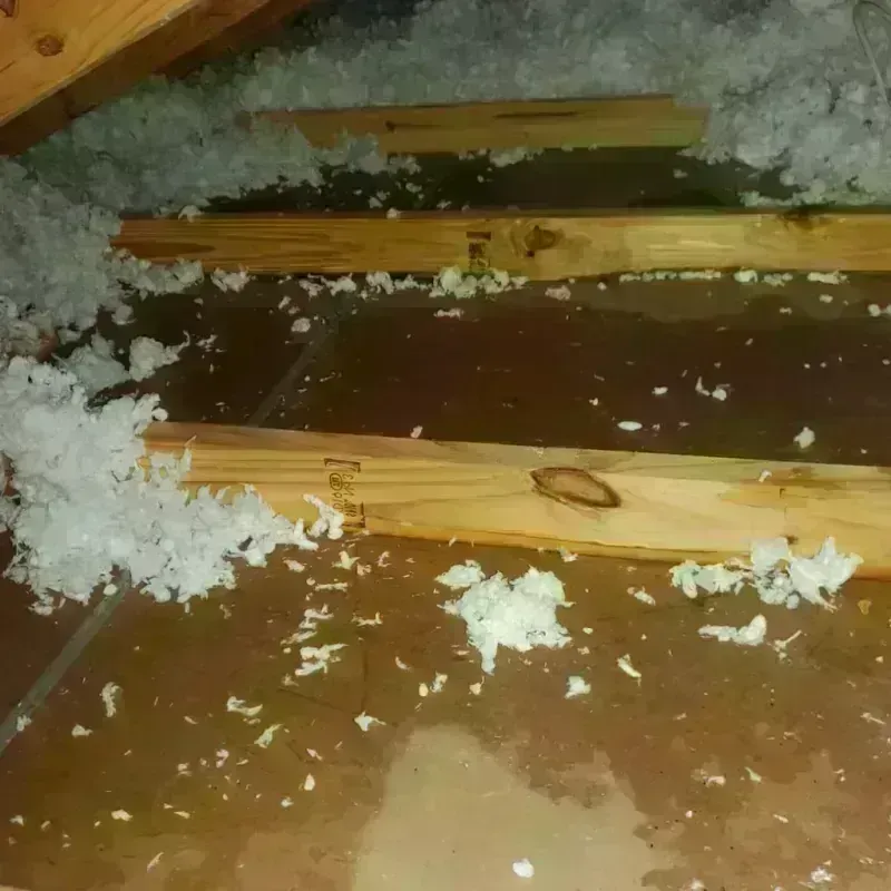 Attic Water Damage in Olmito, TX