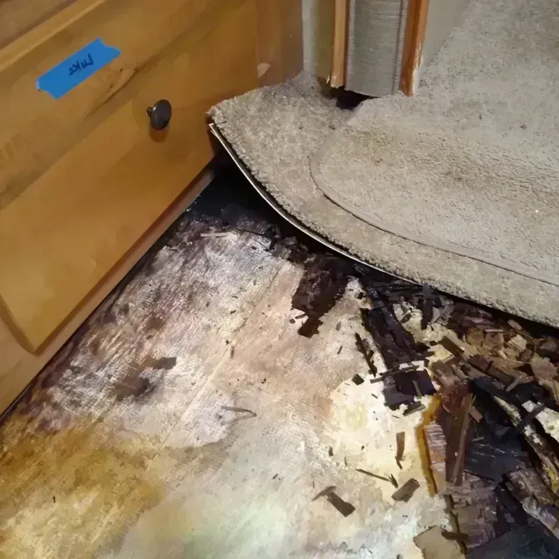 Wood Floor Water Damage in Olmito, TX